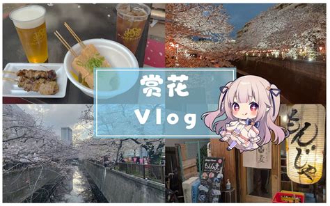 🌸白菜vlog🌸日本甜妹赏花之旅😋“干净的印度料理” 眞白花音official 眞白花音official 哔哩哔哩视频