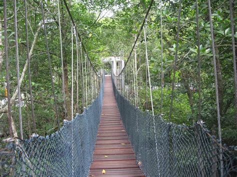 Taman Paya Bakau Lumut Perak Colin Greene