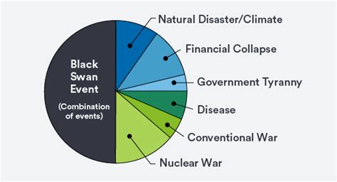 Preparing For The Next Black Swan Event