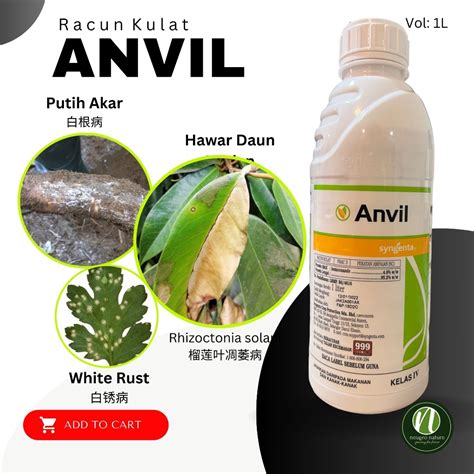 Racun Kulat ANVIL Syngenta Hexaconazole 4 8 1L Hawar Daun Putih Akar