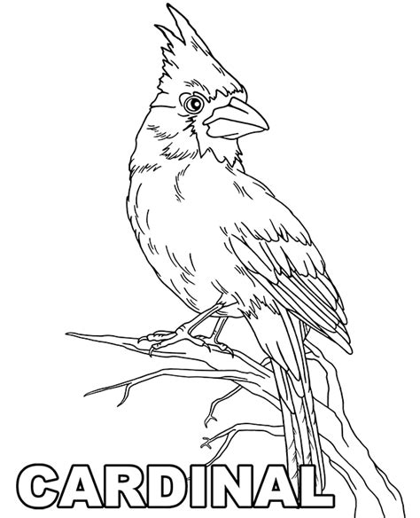 Printable Cardinal Coloring Page