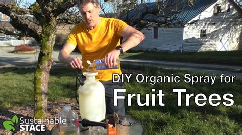 Diy Organic Spray For Fruit Trees Sustainable Stace