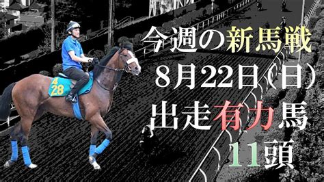 【新馬戦】期待の国枝ディープが札幌＆新潟に！8月22日日の新馬戦に出走予定の有力2歳馬を11頭紹介します！【pog21 22】 Youtube