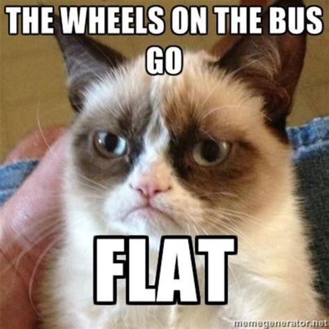 Image Grumpy Cat Know Your Meme