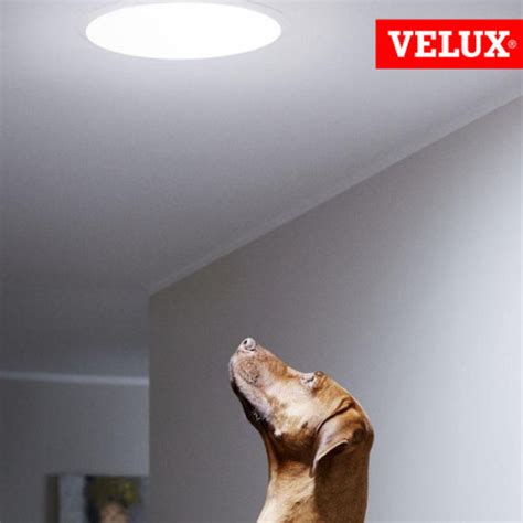 Cento Anni Risorse Umane Opzionale Tubo Di Luce Velux Indossare Grafico