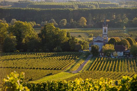 Route Des Vins Des Graves Et Sauternes Guide Complet