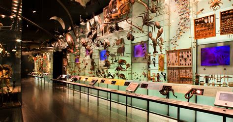 The Hall of Biodiversity: Abundance of Life on Earth | AMNH | Flipboard