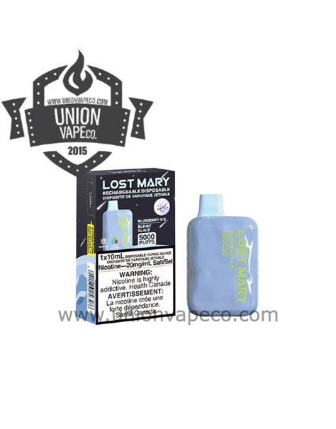 Lost Mary Rechargeable Disposable Vape 5000 Puffs Union Vape Co