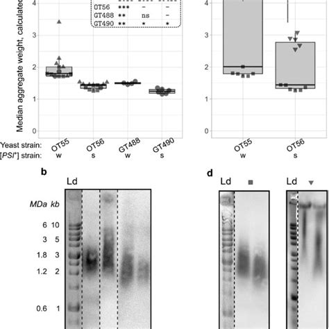 SDD-AGE can be used for quantitative analysis of aggregate molecular ...