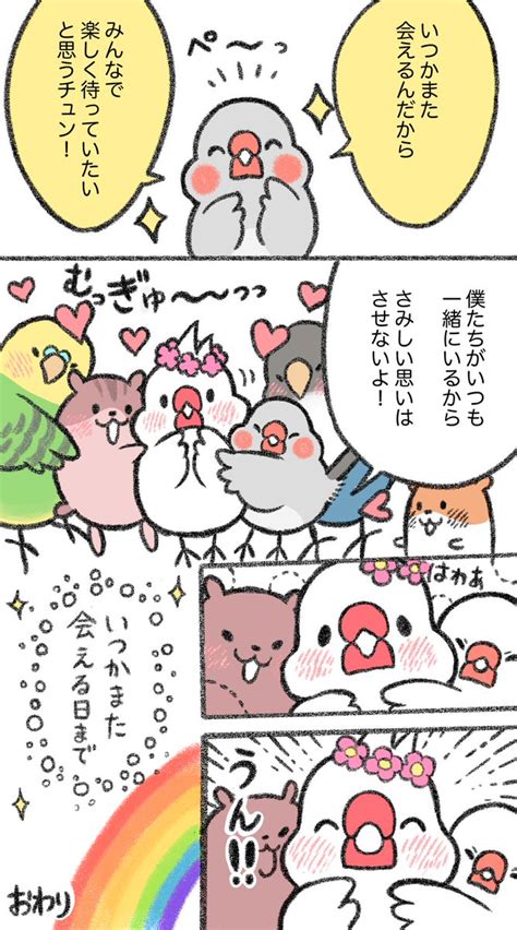 「にゃーちゃん思い出4コマ♥ 」鳥野ニーナ＠トリ扱い説明書が発売中！📚の漫画