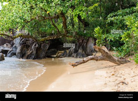 Landscape Of Masoala National Park Madagascar Stock Photo Alamy