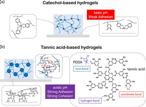 Schematic Comparison Of The Molecular Level Mechanism Of Catechol Based