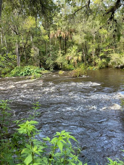 An Awesome Weekend Of Camping At Hillsborough River State Park Amateur Camper Camping