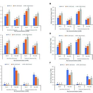 Effects Of Different Concentrations Of Nacl And Mm And Zno Nps