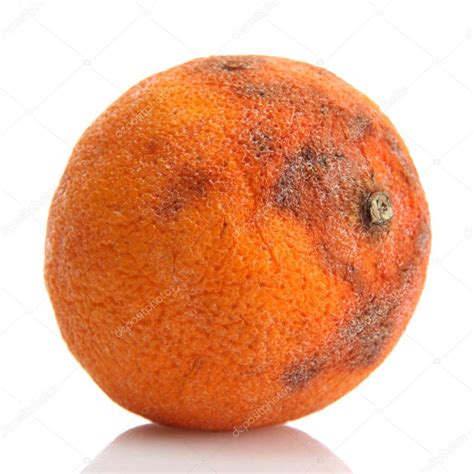 Rotten Orange Isolated On White Stock Photo By ©belchonock 12576764