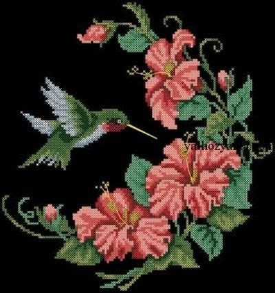 Вышивка колибри схема. Вышивка крестом колибри на черном | Cross stitch ...