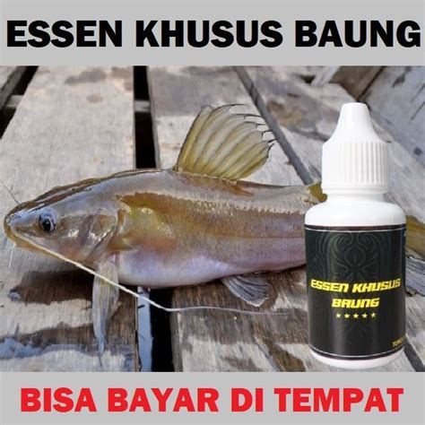 New Essen Khusus Mancing Ikan Baung Aroma Daging Cocok Di Segala Cuaca