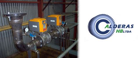 Head1biogasconversion Calderas Hb