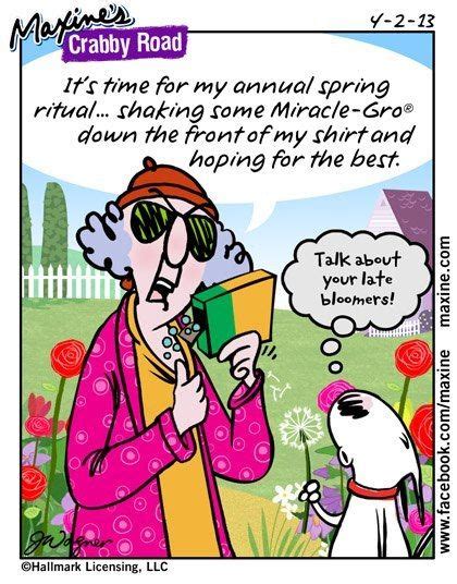 Best Images About Maxine On Pinterest Jokes Love Her And Easter