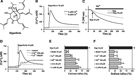 Figure From The Faseb Journal Research Communication Hyperforina