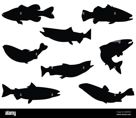 Set of Salmon Fish Silhouette Stock Vector Image & Art - Alamy