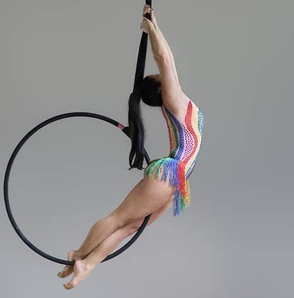 Adult Classes | Aerial Gymnastics