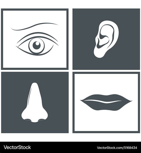 Nose Eye Mouth And Ear Pictograms Royalty Free Vector Image