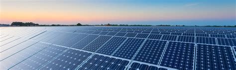 Lisarb Energy signs 20MW of lease contracts with Raízen for new solar