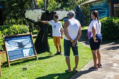 ESPAÇOS BALEIA JUBARTE EM PRAIA DO FORTE E VITÓRIA RECEBEM VISITANTES