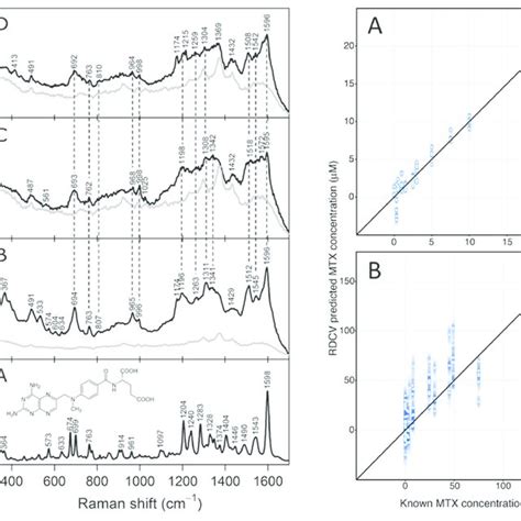 Left Raman Of Solid Mtx A And Sers Bd Spectra Of Mtx 10 μm In Download Scientific