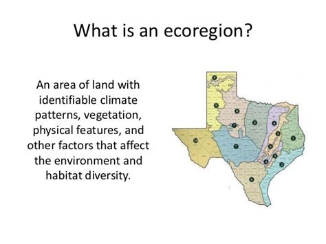 Texas Ecoregions Map With Cities