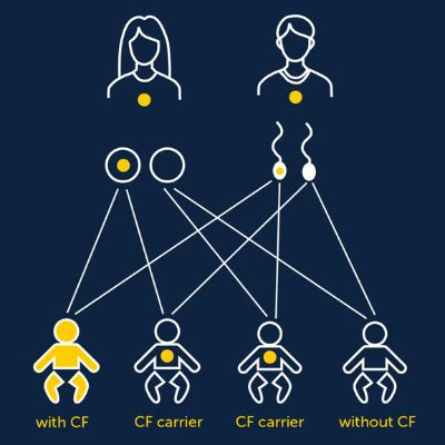 Cascade screening and family genetic testing for cystic fibrosis