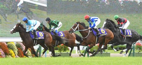 【菊花賞】メロディーレーン、小さな体で健闘魅せた猛追5着 競馬ニュース Netkeiba