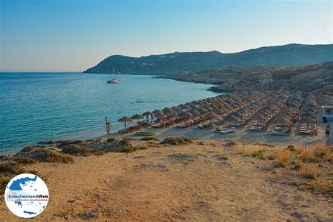 Elia Beach Mykonos Urlaub In Elia Beach Griechenland