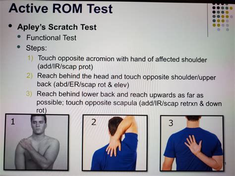 Shoulder Special Tests Flashcards Quizlet