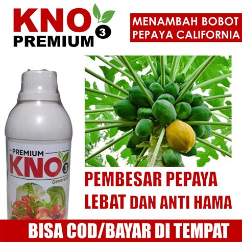 KNO3 Premium 500 ML Obat Pelebat PEPAYA CALIFORNIA Paling Ampuh KNO3