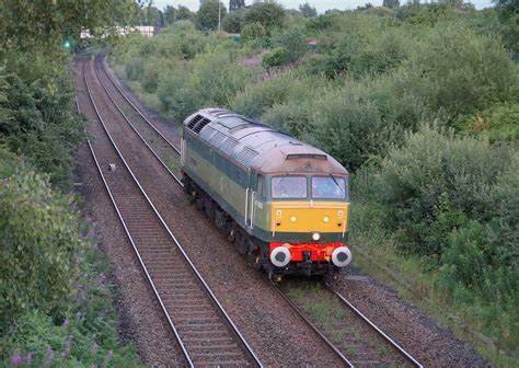 Duff At Dusk Beechings Legacy Approaching Daisy Hill Flickr