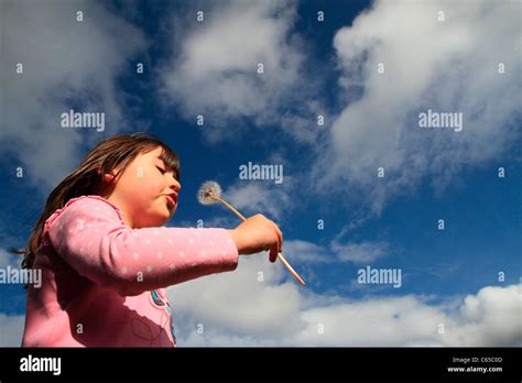 Girl Blowing A Dandelion Clock Stock Photo Alamy