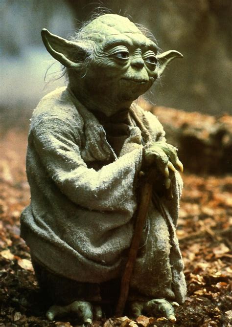 Yoda Star Wars Wiki Wikia