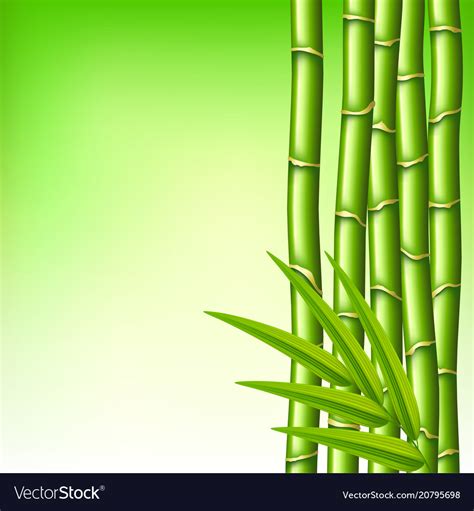 Bamboo Branches On Green Background Royalty Free Vector