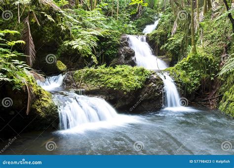 Hawaiin waterfall stock image. Image of horizontal, pool - 57798423