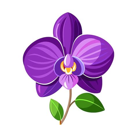 Un dessin d une fleur d orchidée de couleur violette avec un vecteur