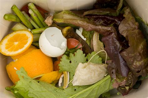 Council To Consider Proposed Food Scraps Policy Thursday Metro