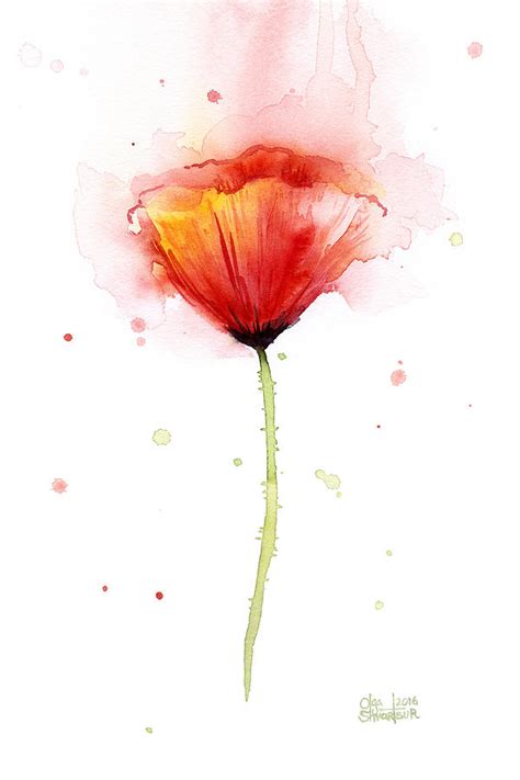 Poppy Watercolor Red Abstract Flower Painting By Olga Shvartsur