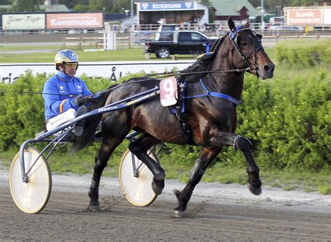 Järvsö Tore - Breedly