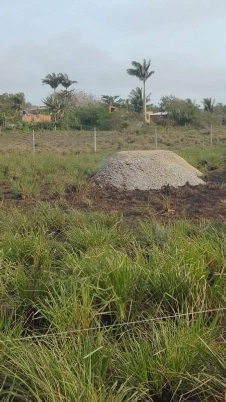 Quem O Dono Acusados De Invadir Terras No Bairro Ba A Formosa Em