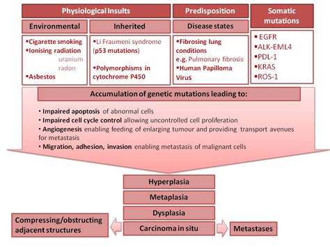 Pathophysiology Of Lung Cancer Schematic Diagram Lung Cancer Clinical