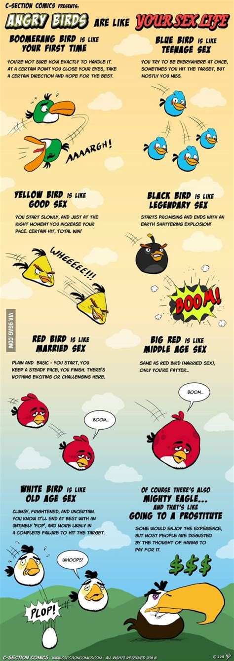 Angry Birds Sex 9gag