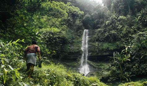 Ex Guerrillas Turn Into Citizen Scientists Using Their Knowledge Of The