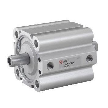 Short Stroke Cylinder BJ32100 AIGNEP Pneumatic With Through Rod